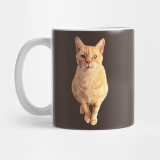 Ginger Cat Front On Mug